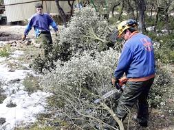 Nieve en el norte