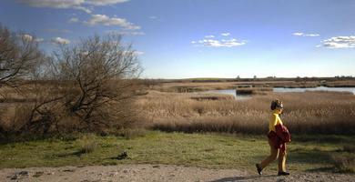 Temperaturas mximas en ligero descenso, salvo en el sur