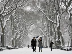 Nueva York, aislada por la nieve