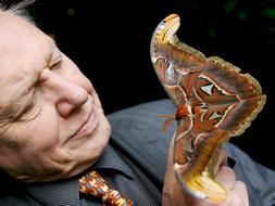 El cientfico naturalista David Attenborough gana el Prncipe de Asturias de Ciencias Sociales