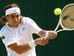 David Ferrer revalida el ttulo