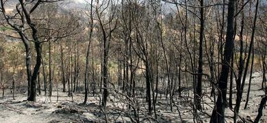 Fallece uno de los dos bomberos heridos en el incendio de Tarragona