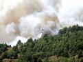 El incendio de La Palma devora 1.500 hectreas y avanza hacia el norte sin control