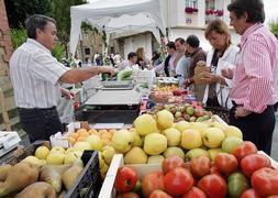 Tomates y pltanos, los productos frescos que ms bajaron en julio