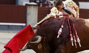 La Comunidad de Madrid aprueba declarar los toros Bien de Inters Cultural