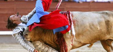 Julio Aparicio se encuentra muy grave tras ser corneado en el cuello por el primer toro