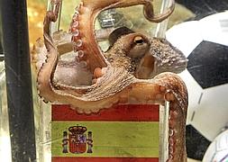 Muere el pulpo Paul, el orculo del Mundial