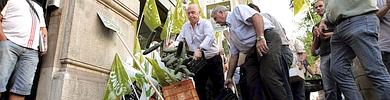 Agricultores valencianos esparcen sus verduras ante el consulado alemn