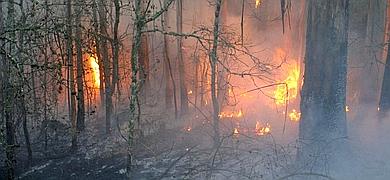 El parque de las Fraguas del Eume, asolado por un incendio