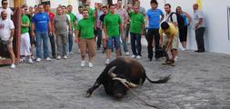 Un toro muere en el encierro del ‘Lunes del Toro de Cuerda de Grazalema’