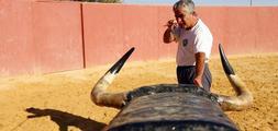 Galloso vuelve al ruedo