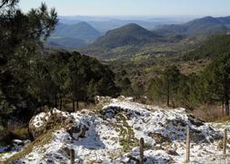 Alerta amarilla por riesgo de nevadas y lluvias