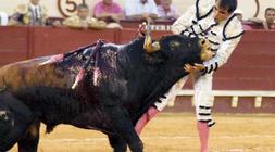 El diestro mexicano Arturo Macas sufre una cornada muy grave en la plaza de toros de El Puerto