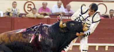 Macas permanece estable en la UCI del Hospital de Jerez 