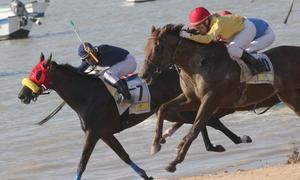 El argentino Jarkovsky gana el Gran Premio Andaluca