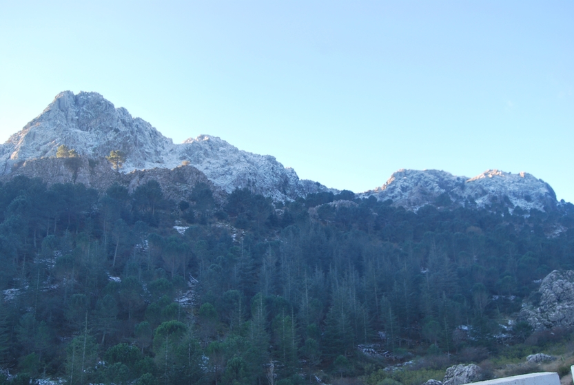 Grazalema y Villaluenga reciben una de las nevadas ms copiosas de los dos ltimos aos