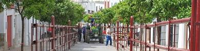 Arcos, Vejer, Paterna, Los Barrios y Benamahoma celebrarn con toros el Domingo de Resurrecin