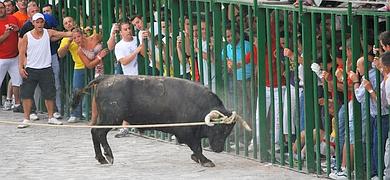 Un joven sufre una cogida grave en el encierro del ‘Lunes del Toro de Cuerda’ de Grazalema