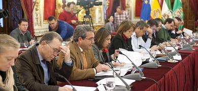 La Diputacin llevar al Tribunal Constitucional el decreto de proteccin del litoral de la Junta