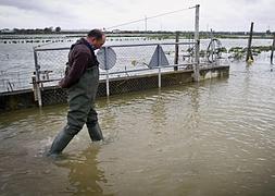 El miedo al agua reaparece