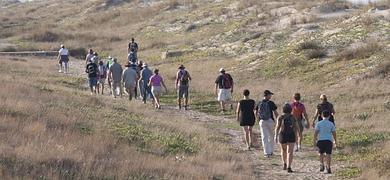 Cdiz, un nuevo punto de partida para el Camino de Santiago