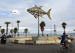 Un atn que marca el viento