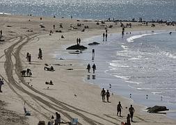 Playa de Santa Mara, Cdiz